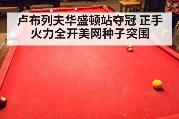 卢布列夫华盛顿站夺冠 正手火力全开美网种子突围